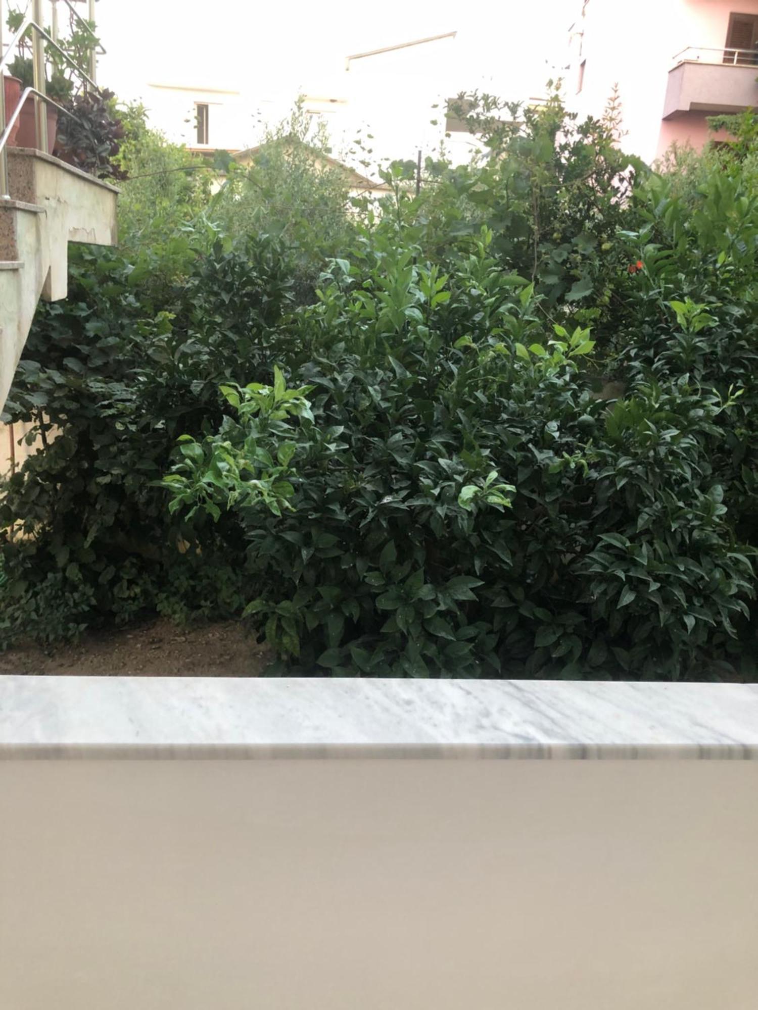 Rooms For Rent Драч Екстериор снимка